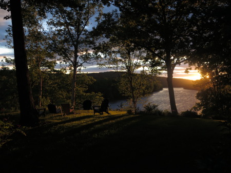 My (our) backyard late spring