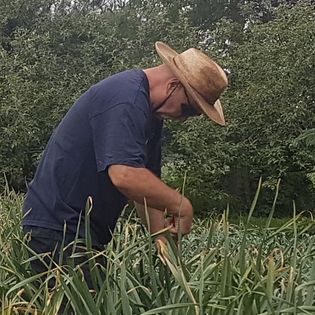 Working in the garlic patch 2020