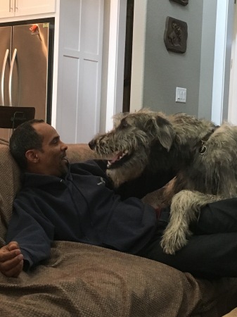 Our 180lb Irish Wolfhound - yep, a lap dog