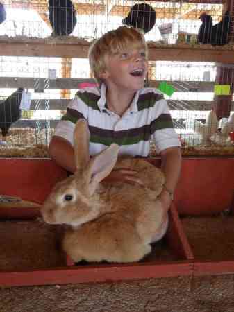 small child, large rabbit