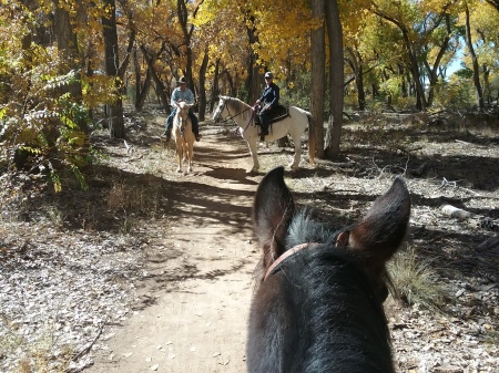 Ride in the bosque. I miss my sweet horse.