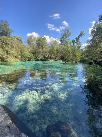 Ichetucknee Springs