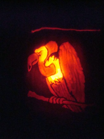 Jim Brenneman's album, 2014 Pumpkin Pictures