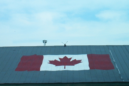 flag I painted along the Sydenham river