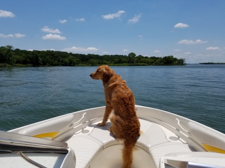 Huxley on the lake
