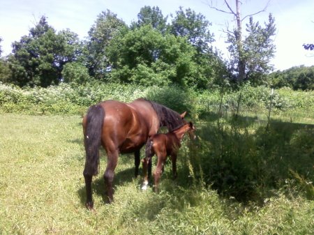 my natural sabotage baby 6-15-2012