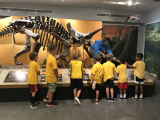 Palm Beach Museum of Natural History