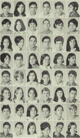 Terri Saenz's Classmates profile album