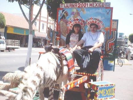 Real Zebra Real touristas