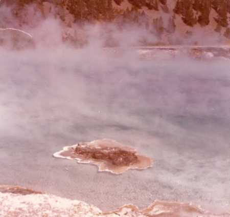 Steamy River in Yellowstone