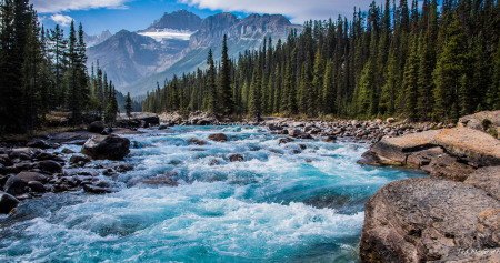 Banff National Park