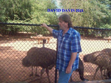 david davis's Classmates® Profile Photo