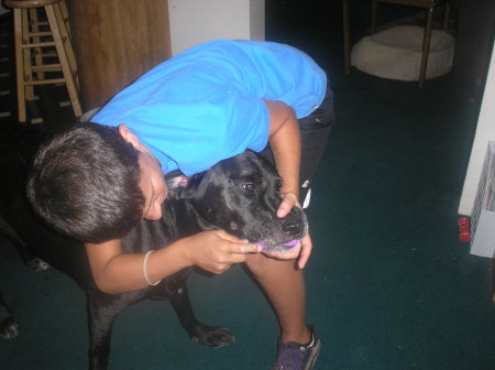  Grandson Christian brushing our pet's teeth