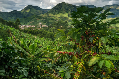 Salento Colombia