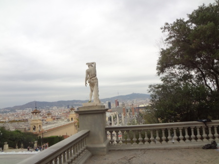 Lone sentinel listens, watches over Barcelona