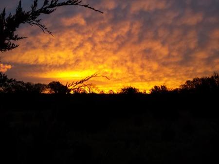 sunrise in deer stand 2013