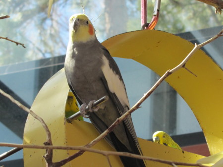 Cheyenne Mountain Zoo Last Photo