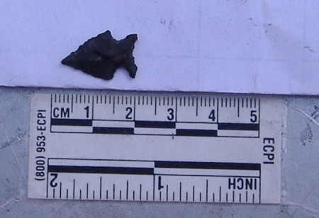 Side notched projectile