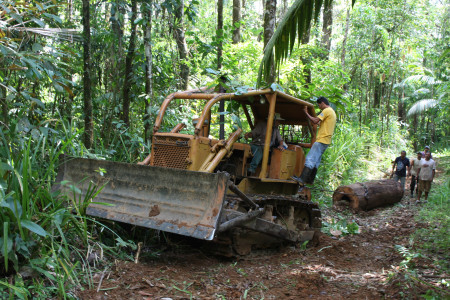 Haul out of rainforest