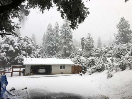 Winter in Ponderosa Basin 