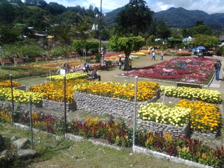 Boquete Flower Festival