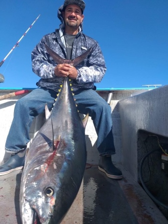 Bluefin 🐟 tuna in baja Mexico 🇲🇽 