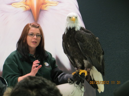 ALASKA RAPTOR CENTER