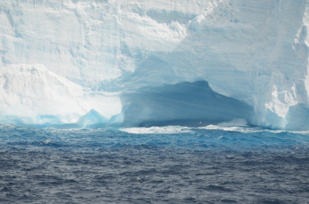 Antarctica