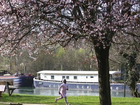 Spring along the Marne 2012