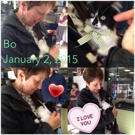 Bo's Adoption Day 1-2-2015