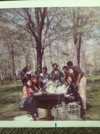 Senior picnic 1972