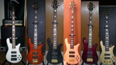 Spector Basses