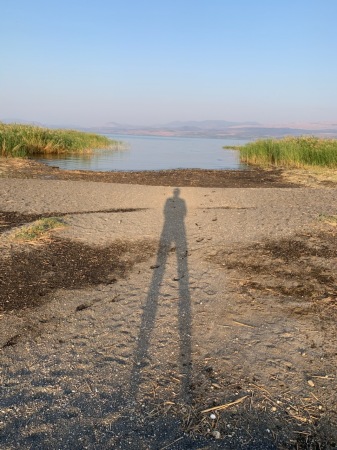 solo sunrise swim in the Sea of Galilee 