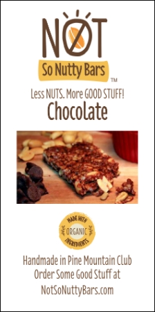 Chocolate Not So Nutty Bars