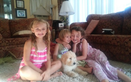 Three granddaughters and a puppy!