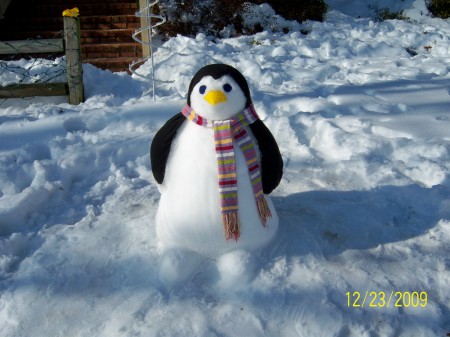 penguin from 2009 snowstorm