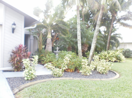 My house in Florida