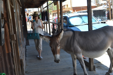 Marla  in Oatman, AZ and the donkey