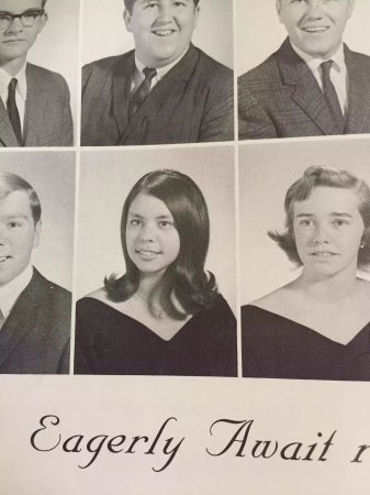 Cyd Scheuermann's Classmates profile album