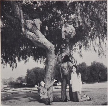 1971-72 Juniors Student Council - Yeadbook Pic