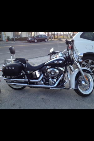 2013 Harley Deluxe ..my new bike.