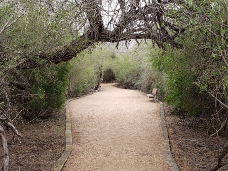 Mike Koehler's album, McAllen Nature Center