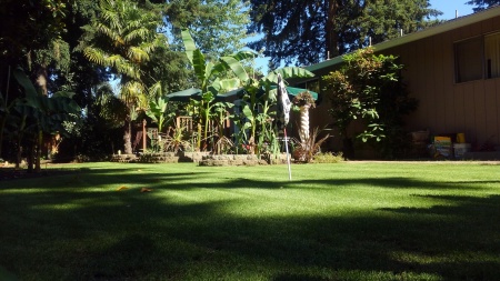 Backyard putting green Vancouver 