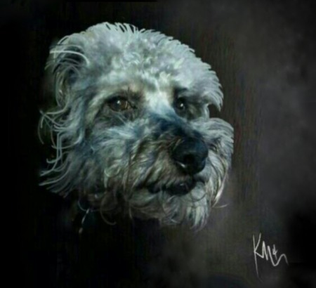 My charcoal portrait of Max.