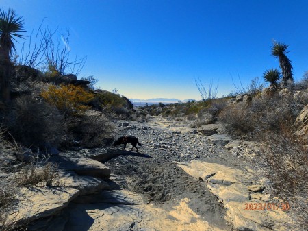 Looking west from Indian Wells Canyon 