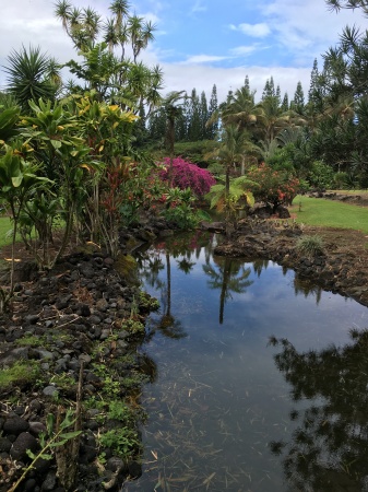 Lilokulani gardens