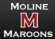CANCELLED FOR 2021 -  50th Moline High School Reunion - Class of 1971 reunion event on Aug 28, 2021 image