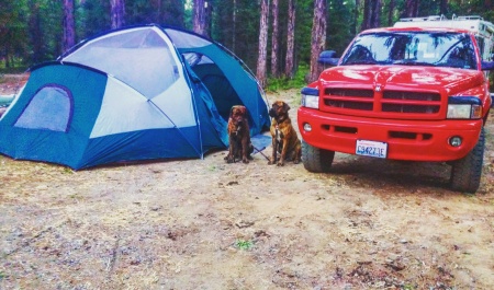 Took the kids camping