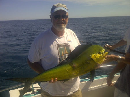 Dorado in LosCabos