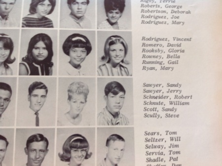 Steve Scully's Classmates profile album